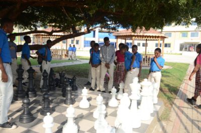 garden_chess1