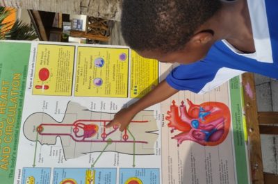 literacy-week-7