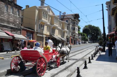 turkey5